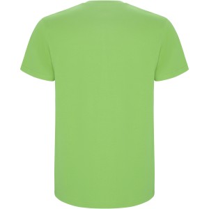 Roly Stafford frfi pamutpl, Oasis Green (T-shirt, pl, 90-100% pamut)