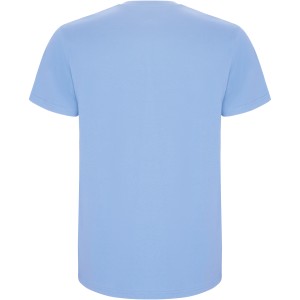 Roly Stafford gyerek pamutpl, Sky blue (T-shirt, pl, 90-100% pamut)